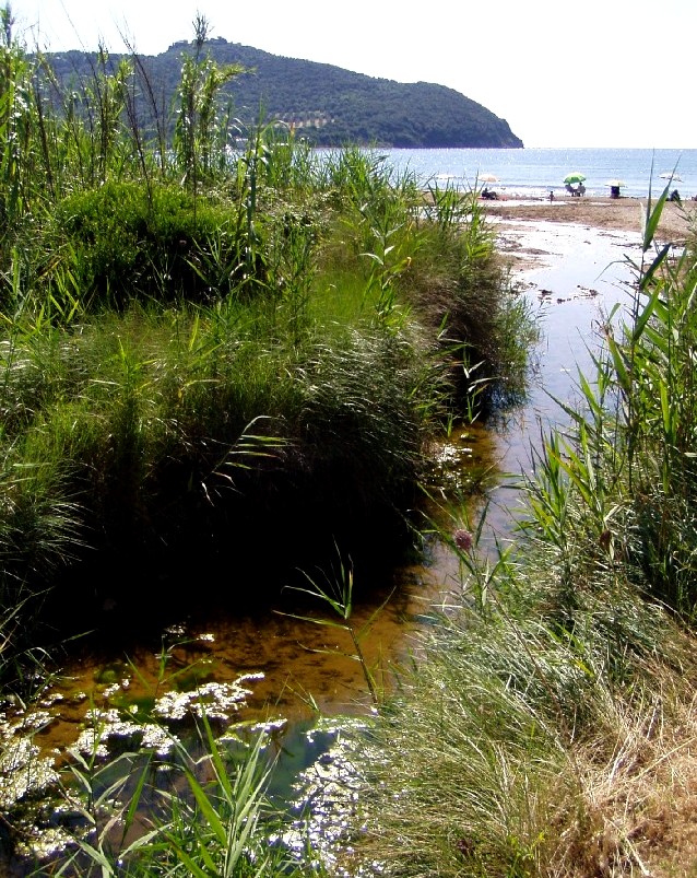 I fossi e lo stagno di Baratti (Piombino - LI)